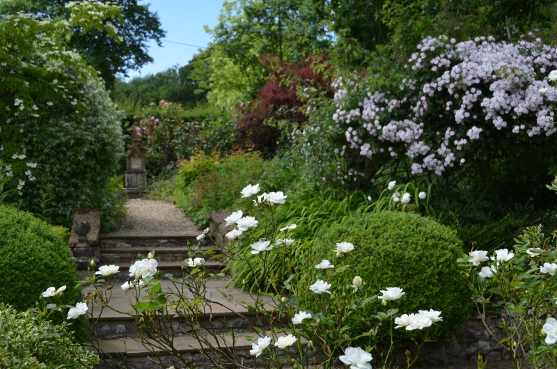 Burrow Farm Gardens